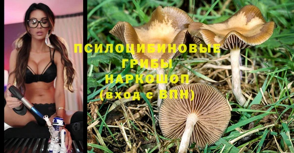 метадон Нея